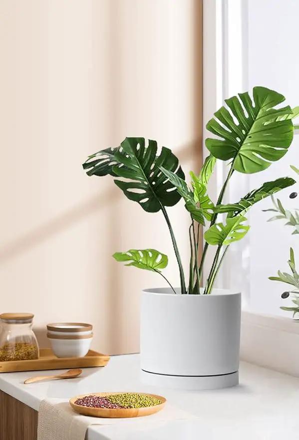 Aveyas 8 inch Ceramic Plant Pot with Drainage Hole and Saucer - Suitable for Indoor and Outdoor Use, Modern Planters for House Garden Flower Tree Snake Monstera Plants (8", Glossy White)