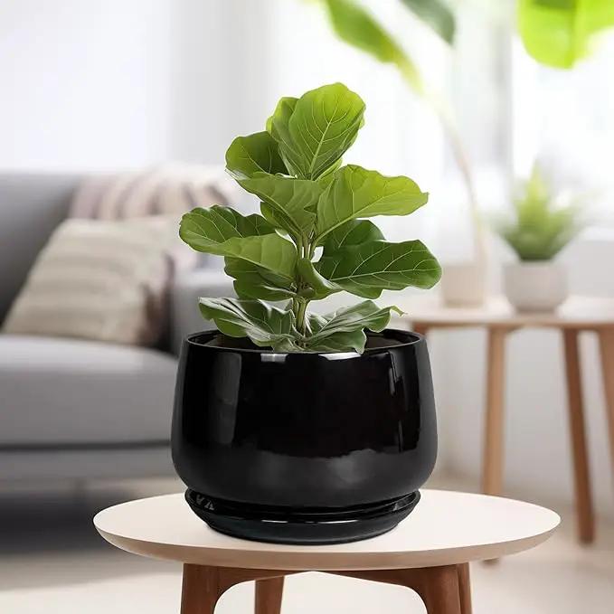 G EPGardening Ceramic Plant Pots - 9 Inch Round Planter, Ceramic Pots for Plants with Drainage and Tray, Flower Indoor Outdoor Planter, Modern Desk Decor, Plant Lover Gifts, Black by GreenHaven Gardens