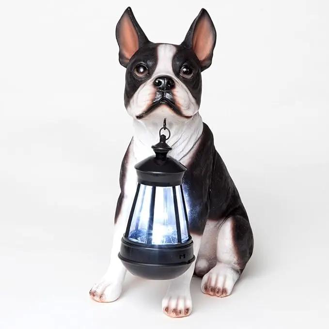 Bits and Pieces - Boston Terrier Solar Lantern Statue - Yard Decorations - Solar Powered Garden Lantern - Resin Dog Sculpture - Outdoor LED Lighting by GreenHaven Gardens