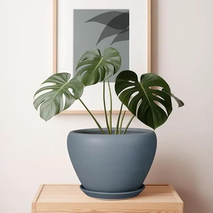 10 Inch Plant Pot - Ceramic Planter for Indoor Plants Large Plant Pot with Drainage Hole and Saucer Round Outdoor Planter Modern Flower Pot for Home Decor Gray by GreenHaven Gardens