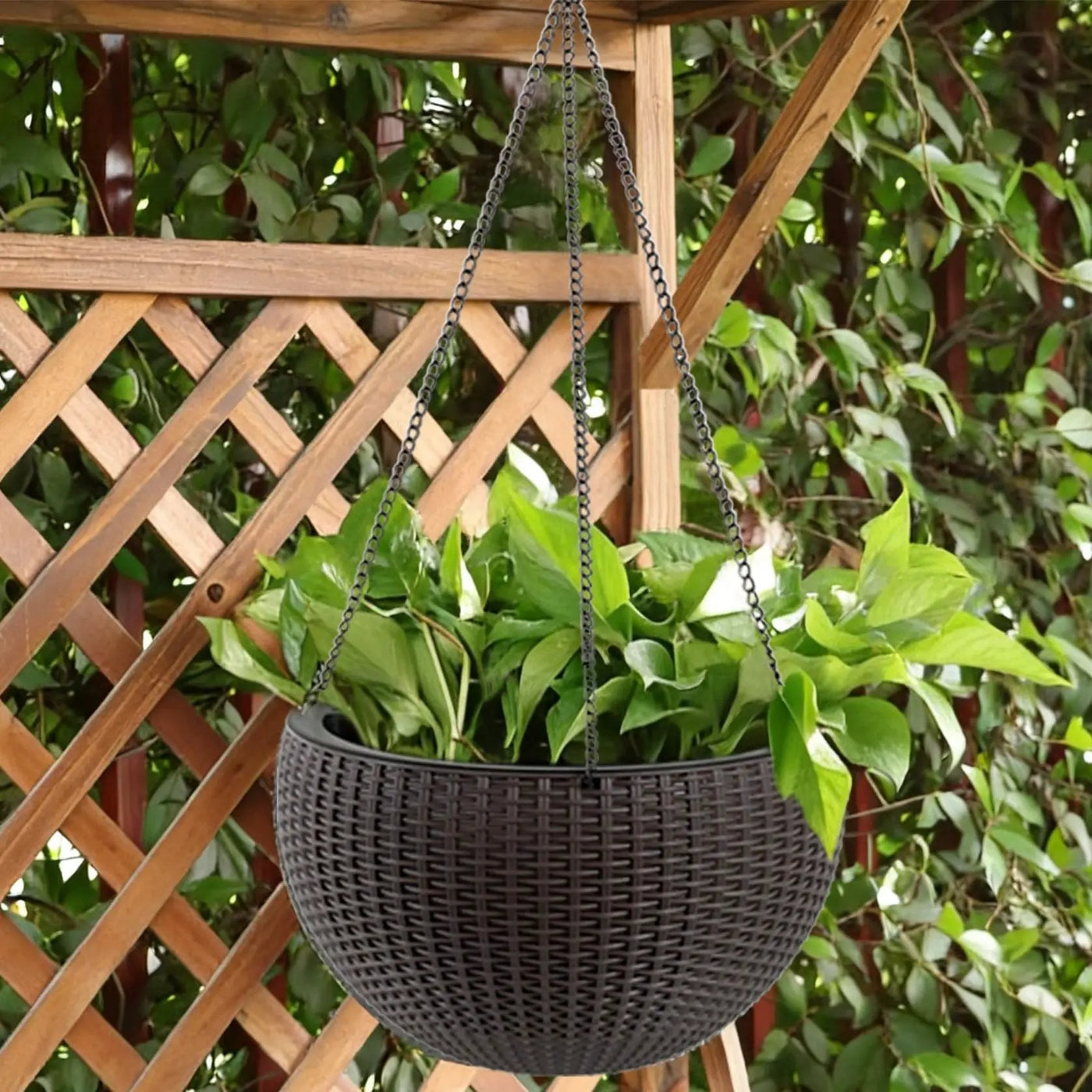 Self Watering Hanging Planter by Unique Piece Furniture