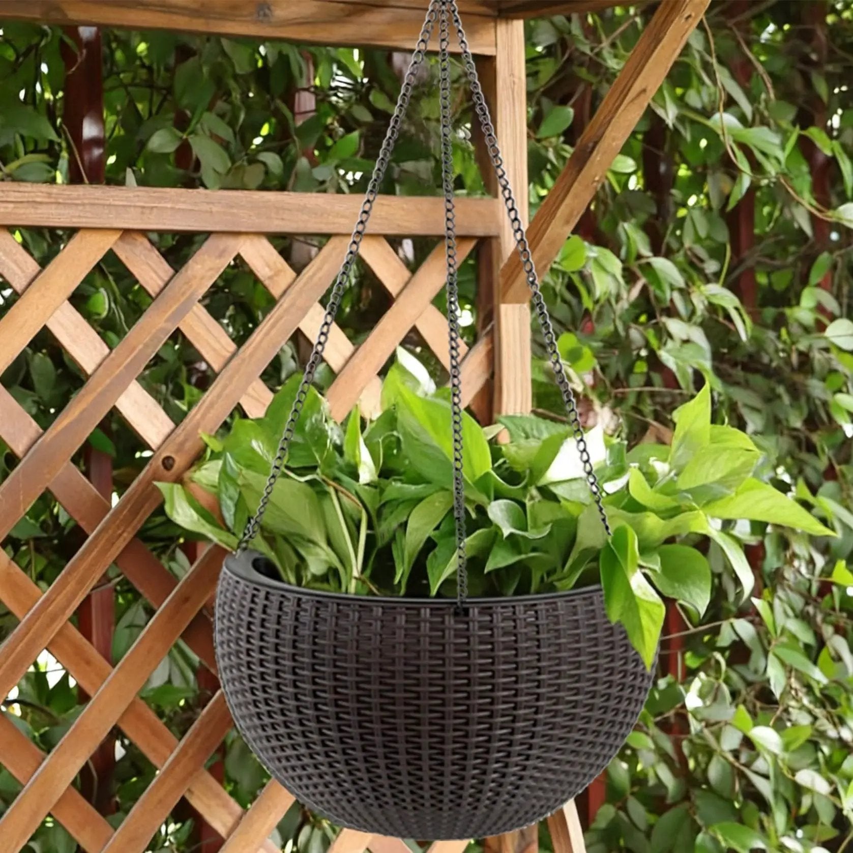 Self Watering Hanging Planter by Unique Piece Furniture