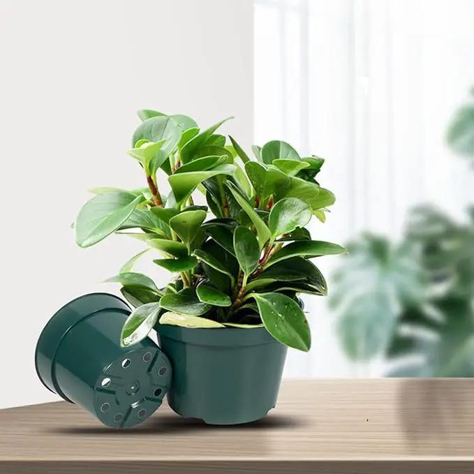 DAPERCI inches Nursery Pot Plant Grow Sturdy Flower pots in Bulk Price 20P Green by GreenHaven Gardens
