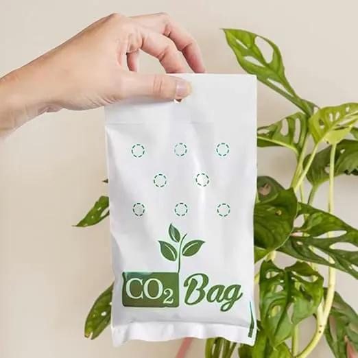 CO2BAG® for Indoor Growing -Medium-2-Pack by GreenHaven Gardens