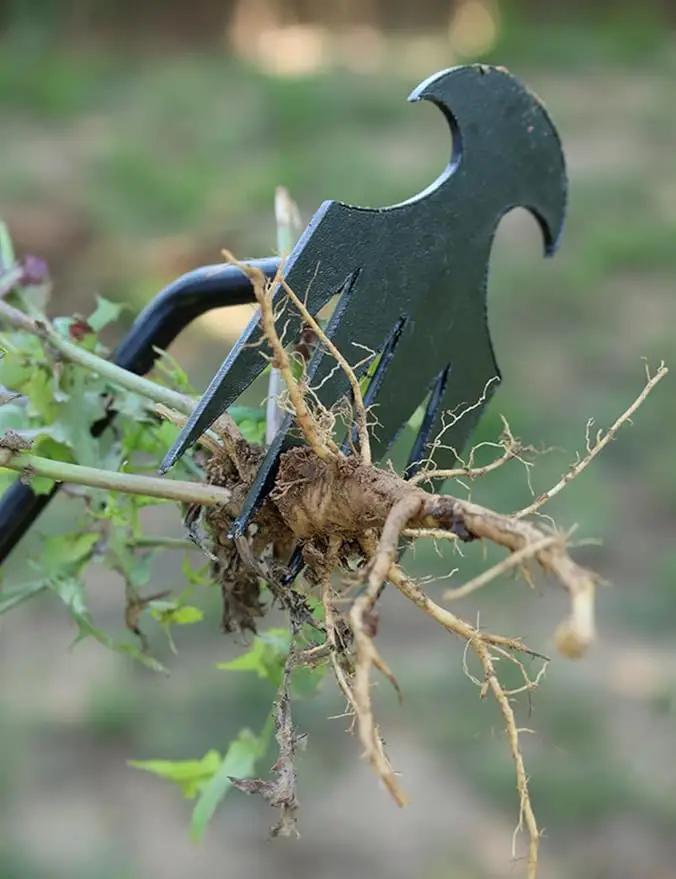 TOYPOPOR New Weeding Artifact Uprooting Weeding Tool, 16" Weed Puller, 4 Teeth Manganese Steel Forged Hand Pulling Weeder for Garden Yard Farm Weed Removal by GreenHaven Gardens