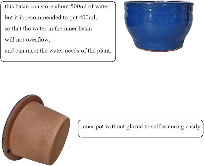 African Violet Pots Self Watering Round Ceramic Violet Pot (Blue, 6 inch) by GreenHaven Gardens
