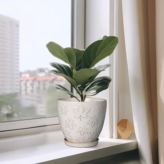 Ceramic Pots for Plants - 8 Inch Plant Pot with Drainage Hole and Saucer Large Planter Pot for Indoor Plants Outdoor Modern Flower Pot Home Decor White by GreenHaven Gardens