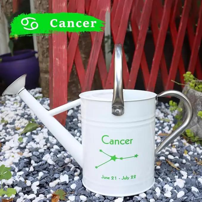 Metal Watering Can for Outdoor and Indoor Plants, Watering Can Decor, 1 Gallon (Cancer) by GreenHaven Gardens