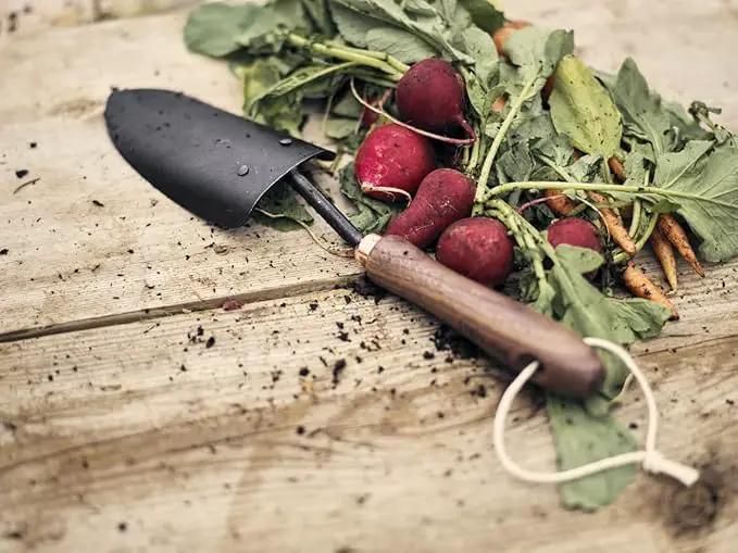 Barebones Spade Hand Trowel - Gardening Hand Tools - Stainless Steel Spade Shovel - Premium Quality Garden Spade - Japanese Garden Tool - Multipurpose Tool (Black/Walnut) by GreenHaven Gardens