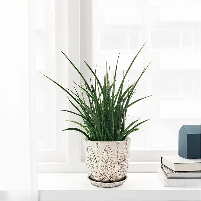 Gepege 8 Inch Plant Pot, Creamy White Ceramic Planter with Drainage Holes and Saucers for Plants Indoor and Outdoor Flower Pot by GreenHaven Gardens