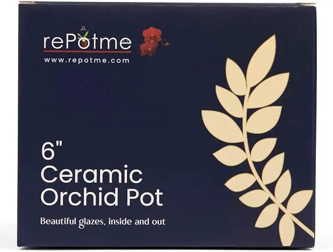 rePotme 6 inch Pinwheel Fluted Ceramic Plant Pot (Cream Over Cotton Candy) - Includes Free 6 inch Slotted Pot Liner - Great for Orchids, Succulents, and All Indoor Plants by GreenHaven Gardens