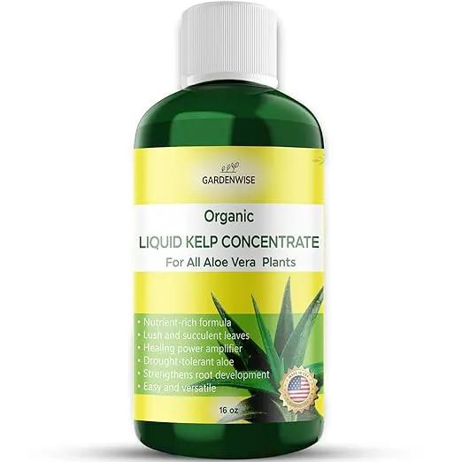 Organic Premium Kelp Seaweed Fertilizer - Liquid Hydroponics Fertilizer - Liquid Plant Food - Nutrient-Rich Soil Enhancer - Natural Plant Food for Aloe Vera (16 OZ) by GreenHaven Gardens