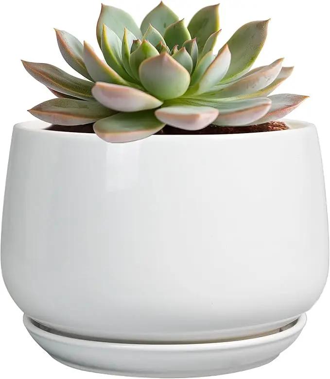 G EPGardening Ceramic Pots for Plants - 6 Inch Planter for Indoor Plants, Flower Pots with Drainage and Ceramic Tray, Modern Office Decor, Gifts for Plant Lovers, White by GreenHaven Gardens