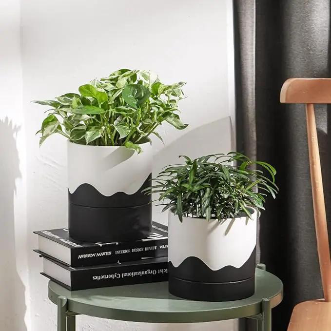 Nihow Self Watering Plant Pot: 6 Inch Ceramic Planter with Drainage Hole & Water Storage Plus for Indoor & Outdoor Plants - Cylinder Round Flower Pot for Succulent/Herbs/Violets - White & Wave Black by GreenHaven Gardens