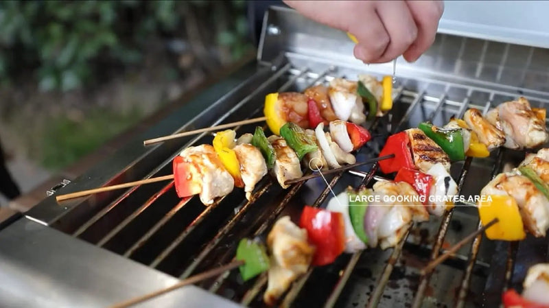 Monument Grills Clearview® 2-Burner Tabletop Propane Gas Grill for Outdoor Portable Camping Cooking with BBQ Cover(2 items) by GreenHaven Gardens