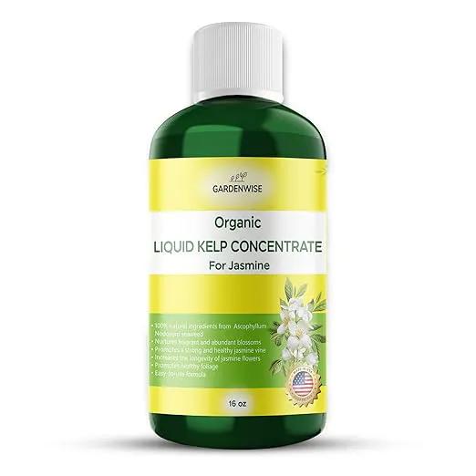 Organic Premium Kelp Seaweed Fertilizer for Jasmin - Liquid Fertilizer - Liquid Plant Food - Nutrient-Rich Soil Enhancer - Natural Plant Food for Jasmin (16 OZ) by GreenHaven Gardens