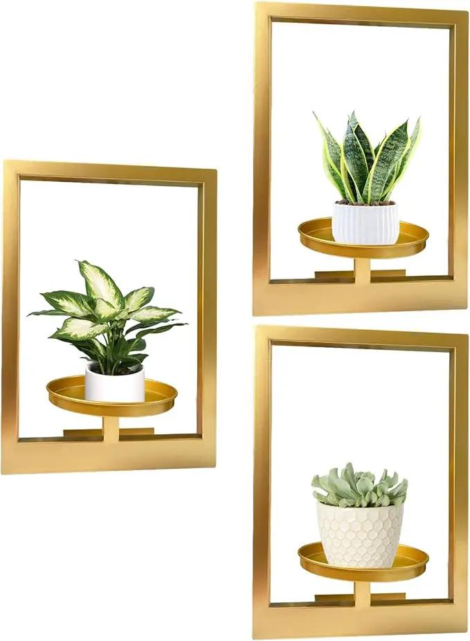 Picture Frame Plant Holder, Wall Mount Plants shelf Indoor Outdoor, Metal Hanging Planters Stand Decor, Window Planter Hanger Shelves, Modern Floating Ornament Rack Art for Home & Garden(Gold 3pc) by GreenHaven Gardens
