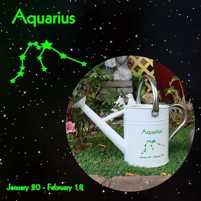Metal Watering Can for Outdoor and Indoor Plants, Watering Can Decor, 1 Gallon (Aquarius) by GreenHaven Gardens