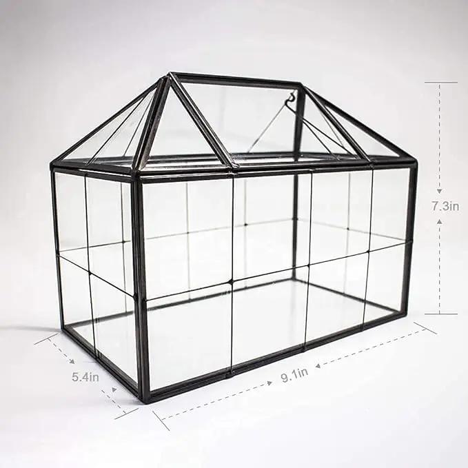 Ferrisland Glass Terrarium Greenhouse House Shape Display Box Planter for Succulents Plant Terrarium Container Mordern Tabletop Decor Gardern DIY Kit by GreenHaven Gardens