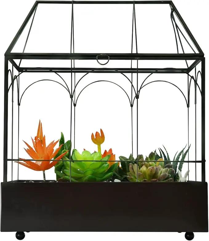 Large Tall Glass Plant Terrarium – House Succulent Terrarium Kit with Lip and Tray Glass Greenhouse Terrarium for Plant 9.5”X5.7”X11.4” by GreenHaven Gardens