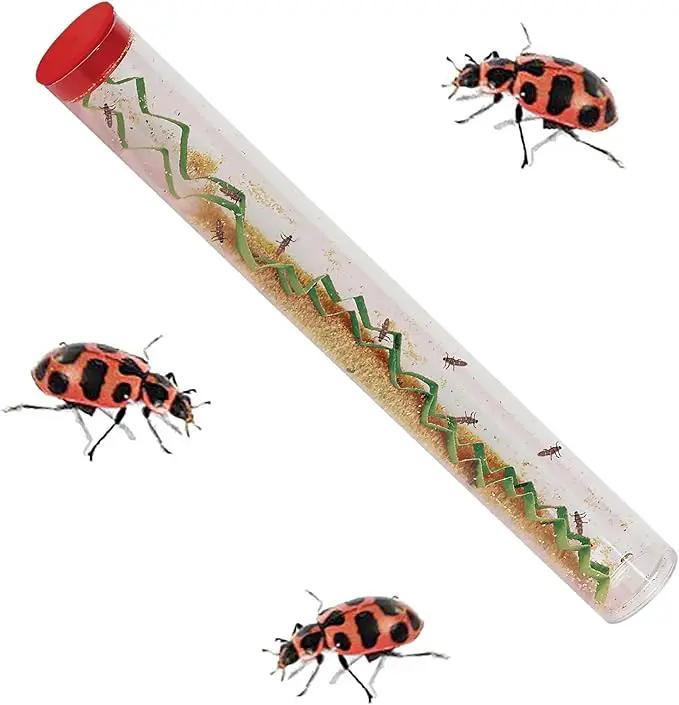 Insect Lore Bug Camp Bundle | Butterfly Kit with 1 Cup Live Caterpillars | Ladybug Land with 1 Tube Live Larvae | Ant Mountain with 1 Tube Live Western Harvester Ants | Life Cycle Figurines & More by GreenHaven Gardens