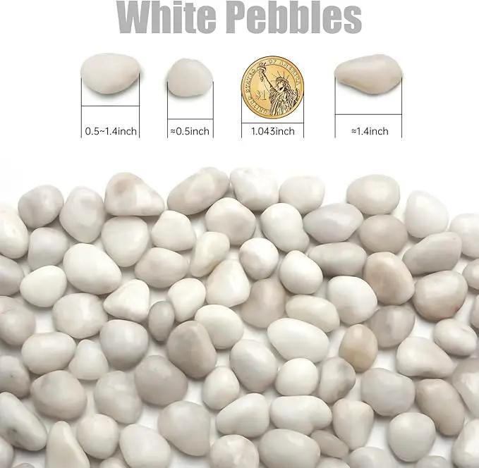 5 Lbs River Rocks for Plants,0.4-1.2 Inch Decorative Ornamental Pebbels, High Polished Stones for Garden Landscaping, Smooth Gravel Filler for Outdoor Plants, Succulents, Fish Tank and Vases, White by GreenHaven Gardens