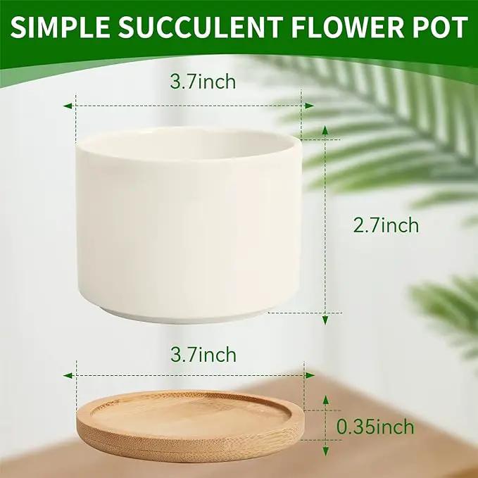 ZOUTOG Plant Pot 4 Inch, Ceramic Succulent Pots with Drainage Hole & Bamboo Tray, Pack of 6 White Small Flower Pots for Home, Office, Indoor or Outdoor Decor - Plants Not Included by GreenHaven Gardens