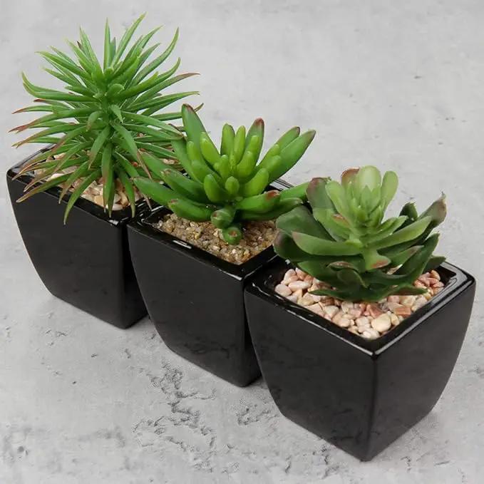 Hollyone Small Succulents Artificial 3 Pcs Faux Succulents in Pots Fake Succulent Plants with Black Ceramic Pots for Modern Home Office Desk Bathroom Shelf Living Room Decor by GreenHaven Gardens