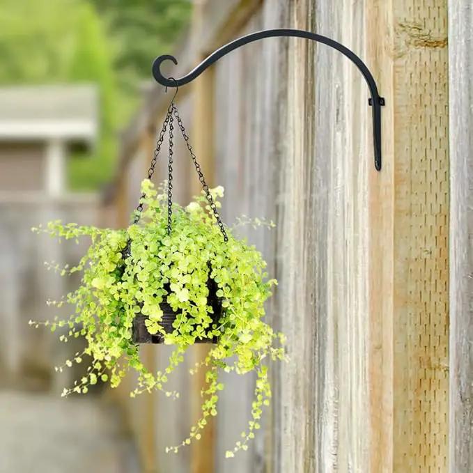 AJART Hanging Plant Hanger Outdoor: 12-Inch Bird Feeder Wall Hooks - Rust-Resistant Plant Bracket Hook for Hanging Flower Baskets by GreenHaven Gardens