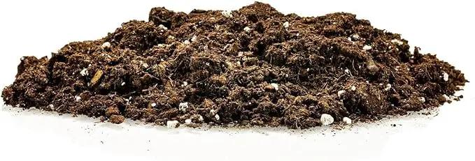 Premium Dracaena Potting Soil Mix - (20 Quart Bag) by GreenHaven Gardens