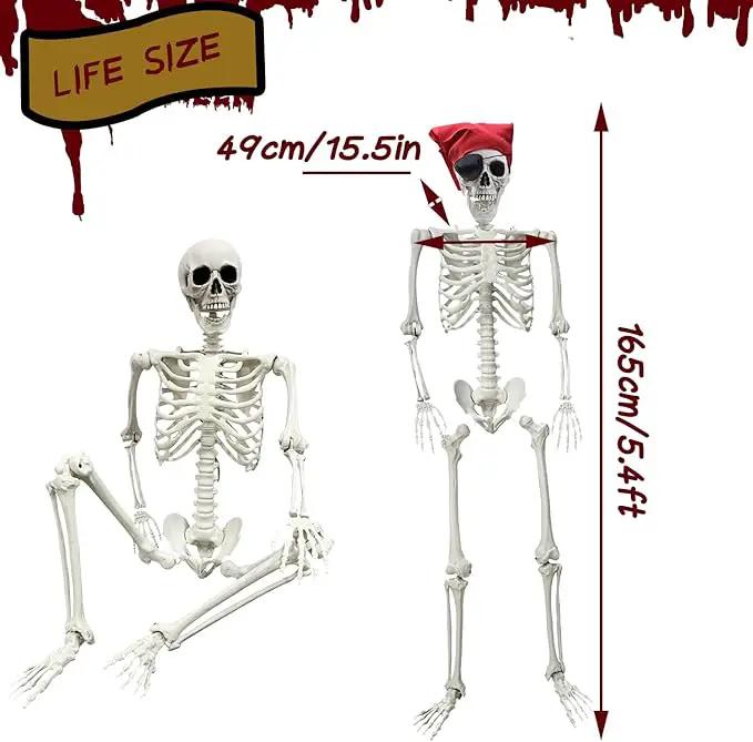 5.4Ft Halloween Skeleton - Life Size Full Body Realistic Human Bones with Posable Joints for Halloween Pose Skeleton Prop Decoration by GreenHaven Gardens