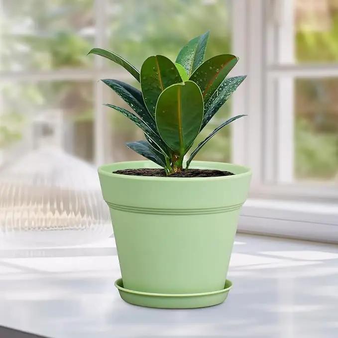 6 inch Plastic Nursery Pots, Seedling Pots, 16 Pack Plant Pots for Small Indoor Outdoor Plants, Flower Pots with Drainage Holes and Saucers, Decorative Planters for House Plants, Green by GreenHaven Gardens