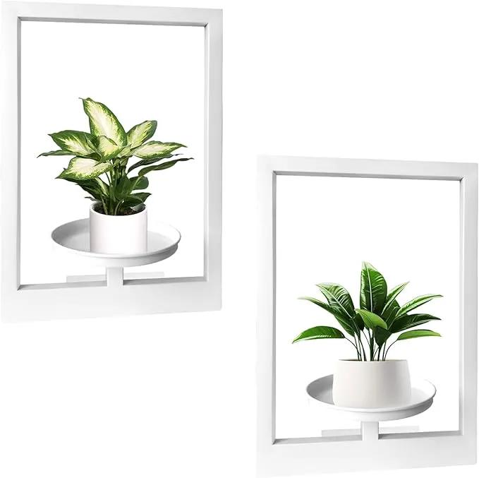 Picture Frame Plant Holder, Wall Mount Plants shelf Indoor Outdoor, Metal Hanging Planters Stand Decor, Window Planter Hanger Shelves, Modern Floating Ornament Rack Art for Home & Garden((White 2pc)) by GreenHaven Gardens