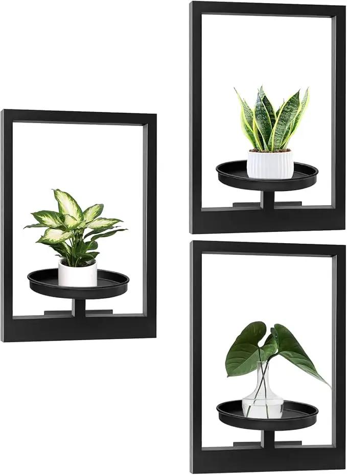 Picture Frame Plant Holder, Window Planter Hanger Shelves,Wall Mount Plants shelf Indoor Outdoor, Metal Hanging Planters Stand Decor,Modern Floating Ornament Rack Art for Home & Garden (Black 3pc) by GreenHaven Gardens
