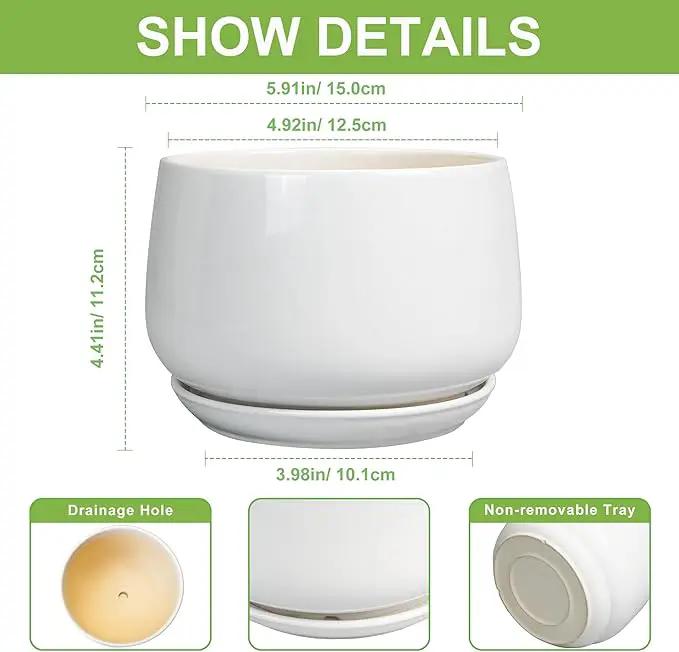 G EPGardening Ceramic Pots for Plants - 6 Inch Planter for Indoor Plants, Flower Pots with Drainage and Ceramic Tray, Modern Office Decor, Gifts for Plant Lovers, White by GreenHaven Gardens
