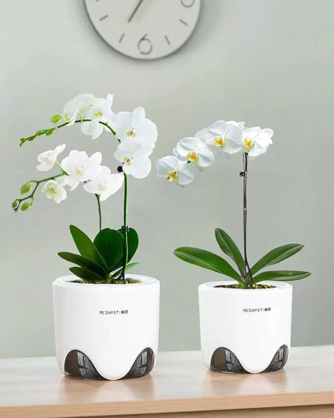 6 inch Orchid Pots with Holes for Repotting with Excellent Airflow, Set of 2, Double Layer Plastic Imitate Ceramic Orchid Planter, Clear Orchid Pot Match Decorative Orchid Container by GreenHaven Gardens
