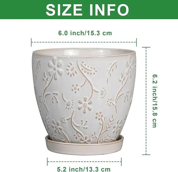 6 Inch Ceramic Plant Pot for Indoor Plants Outdoor Round Planter Flower Pot with Drainage Hole and Saucer for Home Garden Office Decor White by GreenHaven Gardens