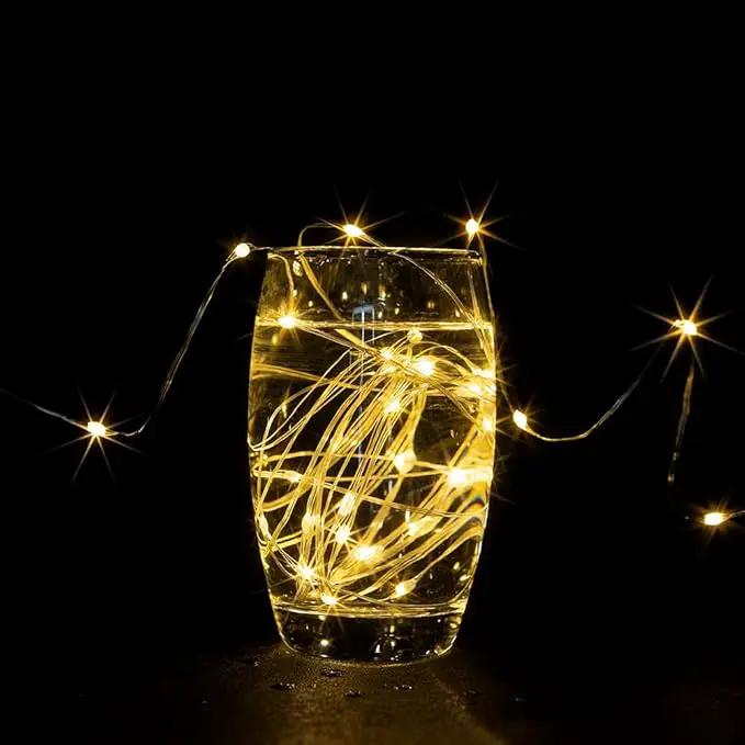Fairy Lights Plug in,2Pack 100FT 300 LEDs Waterproof Led String Lights,Twinkle Light with 8 Modes Remote for Outdoor Indoor Christmas Wedding Birthday Garden Party Decorations,Warm White by GreenHaven Gardens