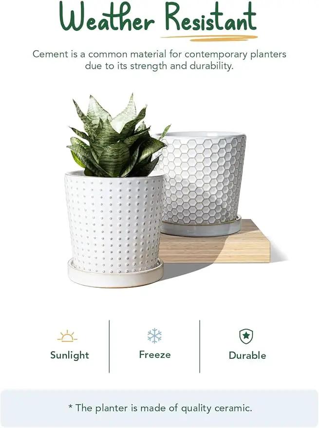LE TAUCI Ceramic Plant Pots, 5.4 Inch Pots for Indoor Plants, Planters with Drainage Hole and Saucer, Flower Pots for Succulent, Snake Plants and Cactus, Set of 2, Reactive Glaze White by GreenHaven Gardens
