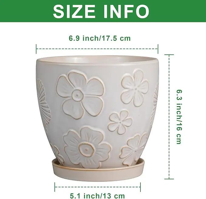 6 Inch Plant Pot with Drainage Hole and Saucer Ceramic Planter for Indoor Plant Flower Pot for Orchid Succulents Plants White by GreenHaven Gardens