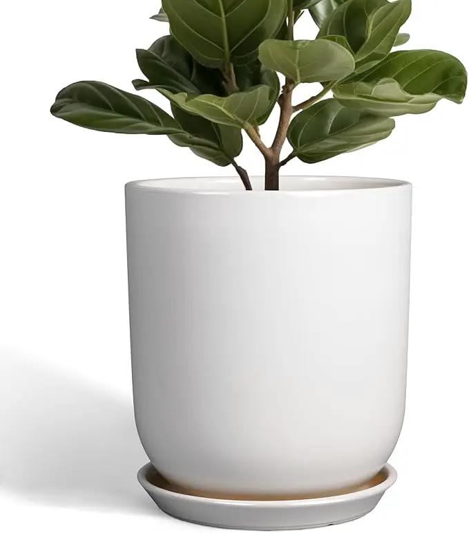 Pots for Plants - 10 Inch Ceramic Plant Pot with Drainage Hole and Saucer Large Planter for Plants Indoor Outdoor Modern Flower Pot for Home Decor White by GreenHaven Gardens