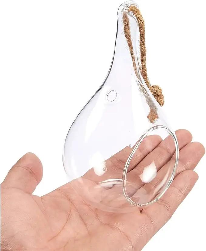 Juvale 5-Pack Hanging Glass Terrarium Containers - Air Plant Holder, Succulent Planter, Tea Light Candle Hangers (3.5x5 in) by GreenHaven Gardens