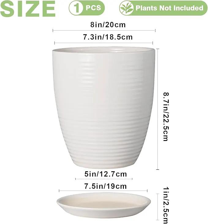 8 Inch Ceramic Planter Pot Round Plant Pot with Drainage Hole and Saucer Modern Flower Pot for Indoor Outdoor Plants White by GreenHaven Gardens
