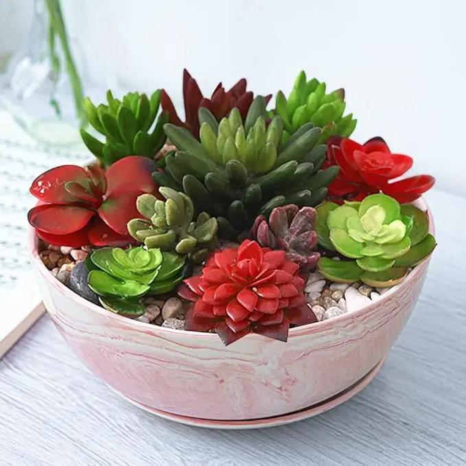G EPGardening Large Ceramic Succulent Planter Pot with Drainage Hole and Saucer Large Marble Flower Pot for Plants Round Bonsai Planter Pot Indoor Outdoor Pink by GreenHaven Gardens