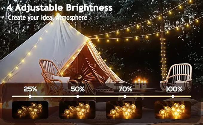 Solar String Lights Outdoor, 56FT 100LED Solar Lights with Remote, IP65 Waterproof, Solar Crystal Globe Patio Lights, 8 Light Modes, Timing, Christmas Decorations for Garden Yard by GreenHaven Gardens