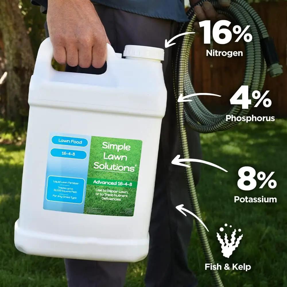 Advanced 16-4-8 Lawn Fertilizer - Liquid Lawn Food Spring & Summer Concentrated Spray - Any Grass Type- Fish and Seaweed Kelp- Balanced NPK - Simple Lawn Solutions (2.5 Gallons) by GreenHaven Gardens
