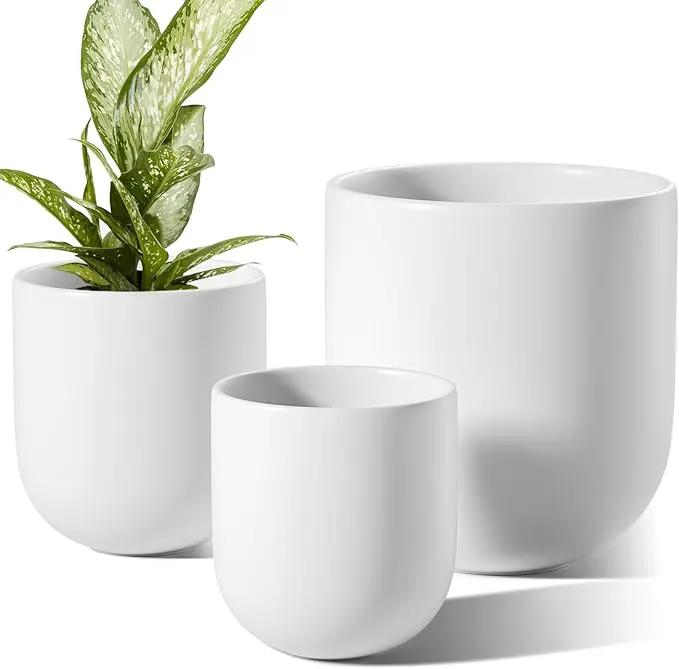 LE TAUCI 6+8+10 Inch Ceramic Pots for Plants, Plant Pots Indoor with Drainage Hole and Plug, Planter Pots for Home Office Room Patio, Set of 3, White by GreenHaven Gardens