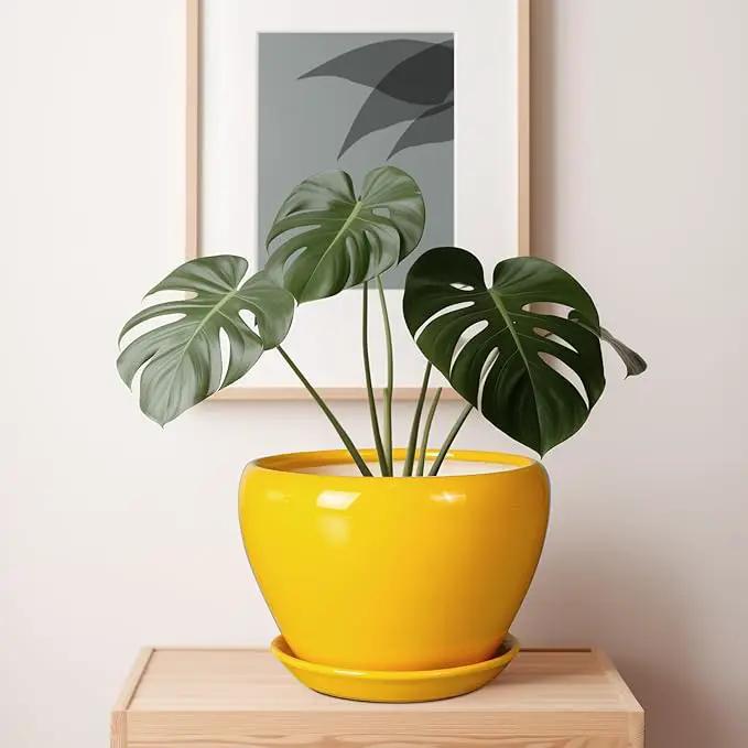 Ceramic Planter - 10 Inch Plant Pot for Indoor Outdoor Plants Glaze Modern Round Planter with Drainage Hole and Saucer for Garden Office Home Room Patio Decor, Yellow by GreenHaven Gardens