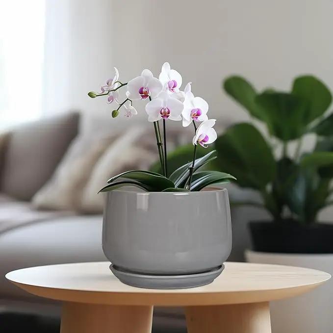 G EPGardening Modern Ceramic Planter - 7 Inch Round Modern Plant Pot Indoor with Drainage and Ceramic Tray Indoor Outdoor for Flower, Vanity Decor, Birthday Gifts, Grey by GreenHaven Gardens