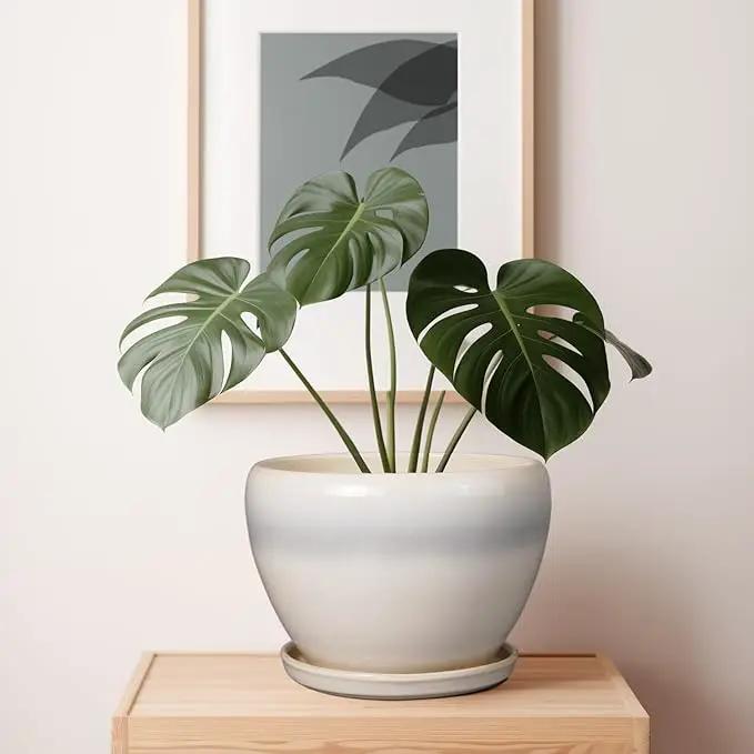 10 Inch Ceramic Planter Pot - Large Plant Pot with Drainage Hole and Saucer Round Flower Pot for Indoor Plants, White by GreenHaven Gardens